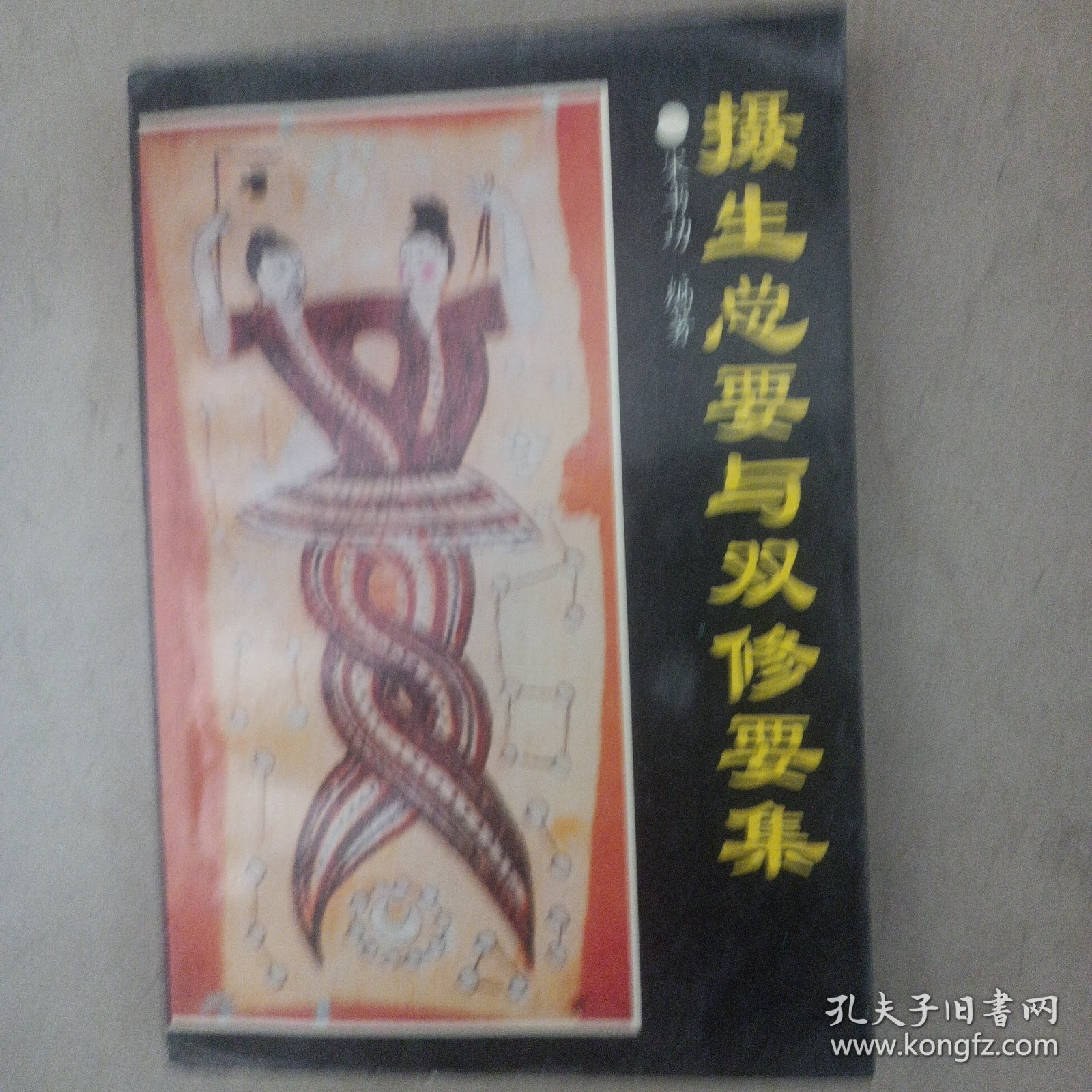 摄生总要与双修要集