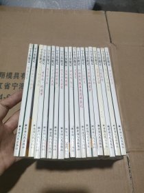 外国漫画丛书—丁丁历险记 （均为1998年一版一印 (共19册合售)