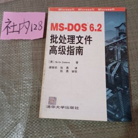 MS-DOS 6.2批处理文件高级指南