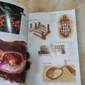 中国国家地理唐宋矿洞“迷宫”拉达克嫩贡山