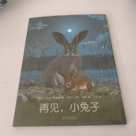 正版绘本 再见，小兔子