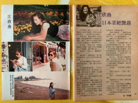 江欣燕32开彩页（75）