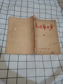 毛主席万岁 1967 重庆