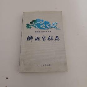 醉湖宝稿存