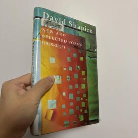 david shapiro new and selected poems 1965-2006