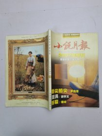 小说月报2007年增刊原创长篇小说专号三