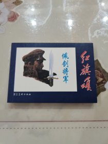 红旗颂：佩剑将军