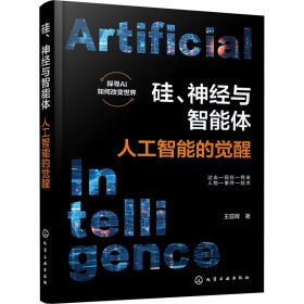硅、神经与智能体：人工智能的觉醒 人工智能 王亚晖