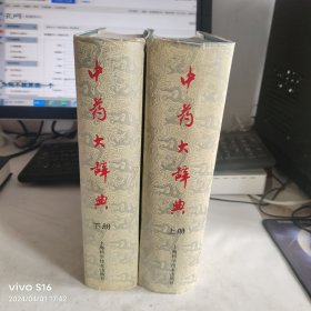 中药大辞典（上下）