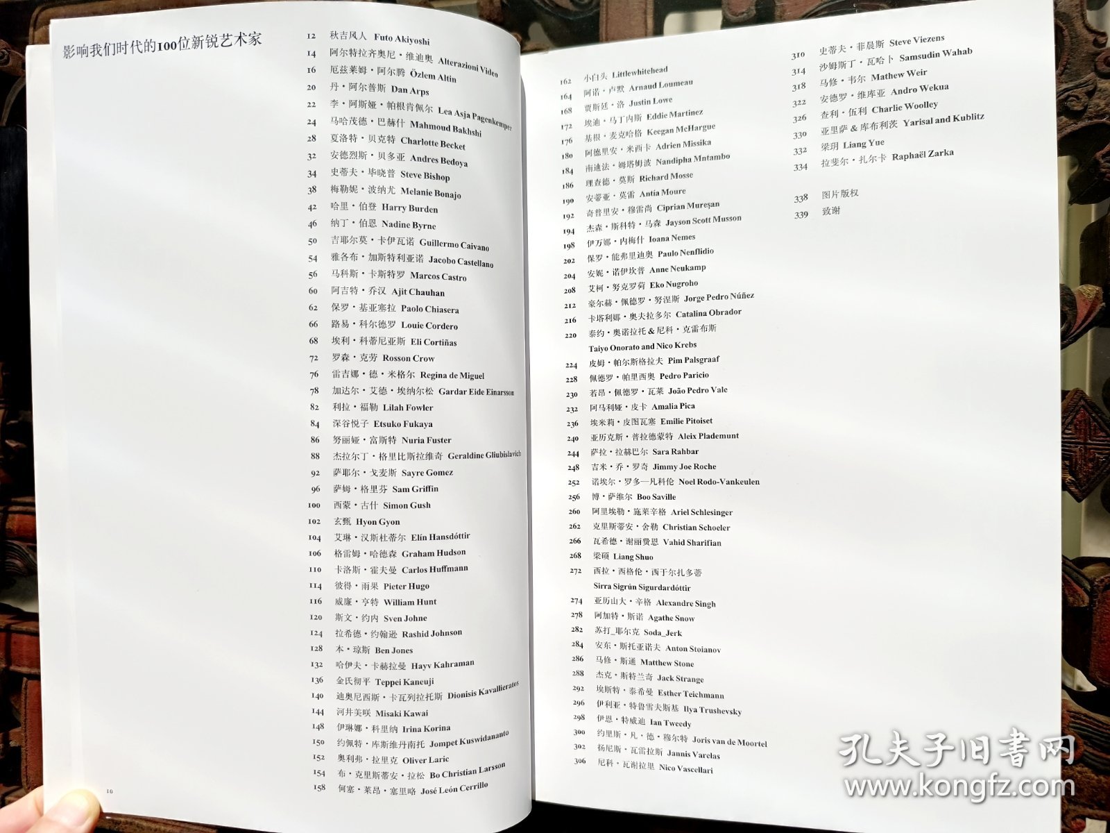 影响我们时代的100位新锐艺术家（当代艺术）