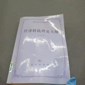 经济转轨理论大纲