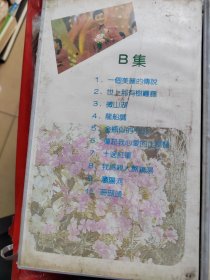 录像带：民歌专辑（王牌霸歌霸卡拉0K）BC两盘