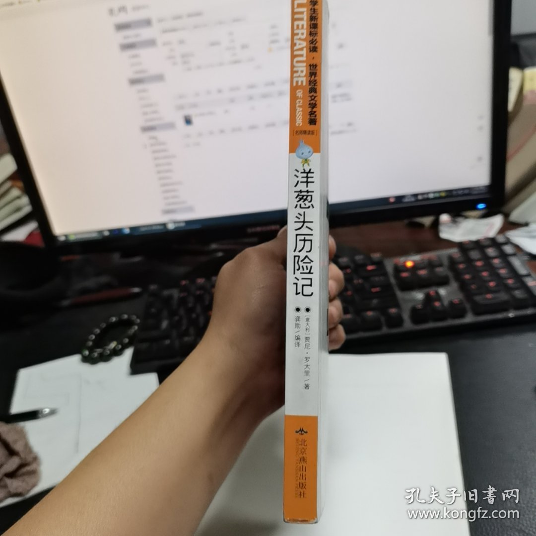 洋葱头历险记