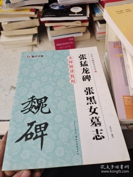 墨点字帖·余中元教你学书法：张猛龙碑张黑女墓志（楷书入门教程）