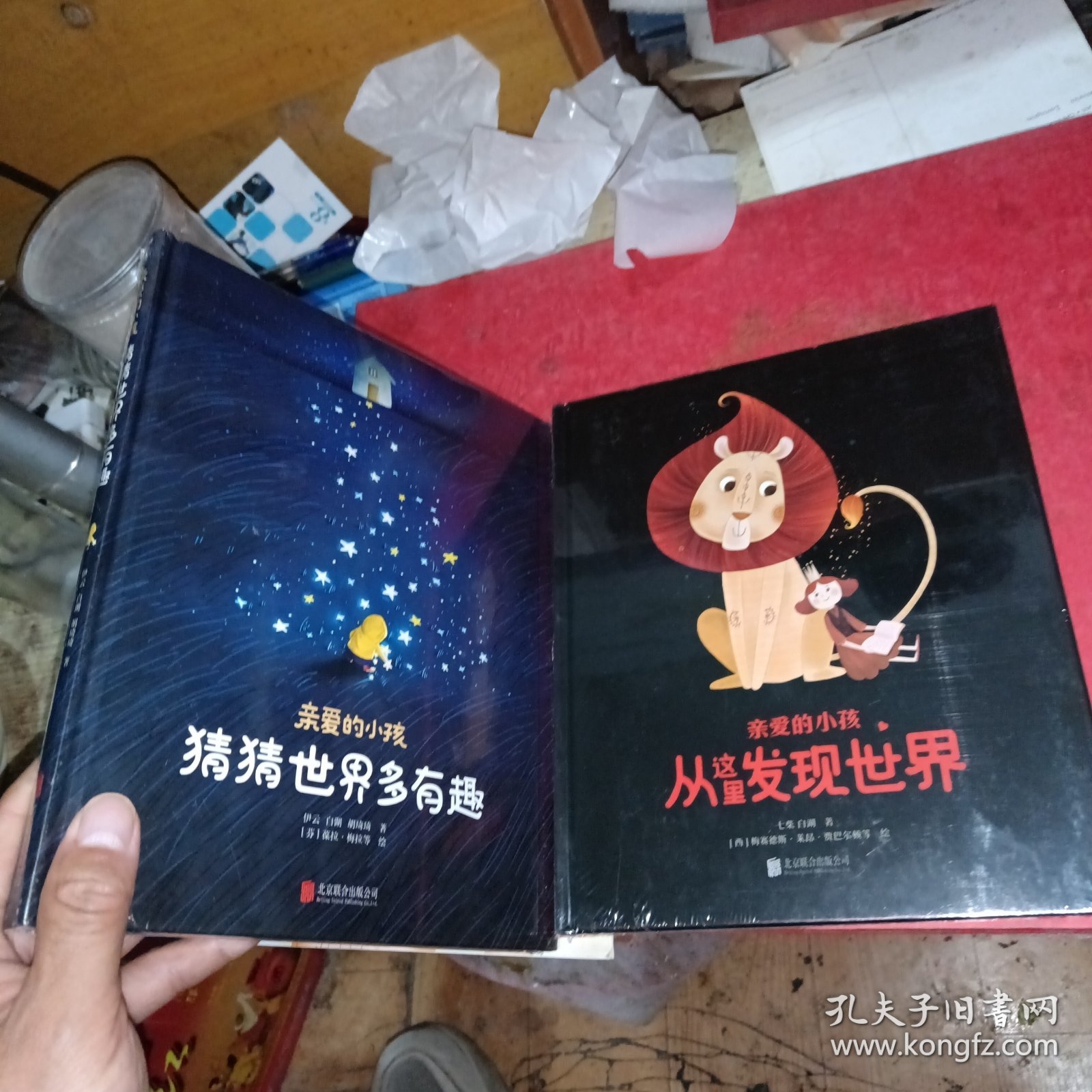 亲爱的小孩共两本打包，猜猜世界多有趣 从这里发现世界