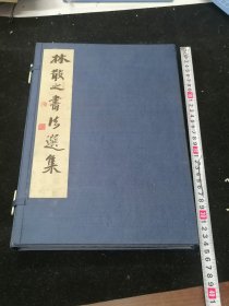 林散之书法选集，带函套线装大16开