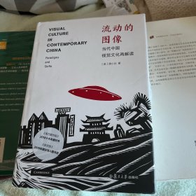 流动的图像：当代中国视觉文化再解读