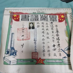 毕业证书 辽阳人 东北纺织局沈阳纺织厂工人子弟小学 一九五四年 报至沈阳市十一中学