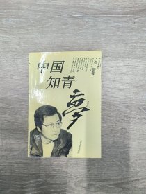 中国知青梦