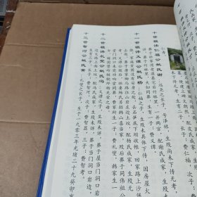 费氏宗谱（国昌公宗支）