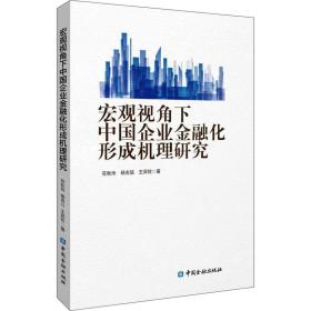 新华正版 宏观视角下中国企业金融化形成机理研究 花秋玲,杨吉喆,王羿钦 9787522018959 中国金融出版社