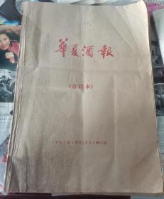 1995年华夏酒报合订本（1-12月）