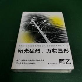 阳光猛烈，万物显形（作家阿乙的人生词典，歌手李健推荐：“阿乙人有趣，作品精彩，这本随笔，写得生动而精简。” ）