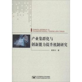 产业集群化与创新能力提升机制研究 大中专理科计算机 黄西川