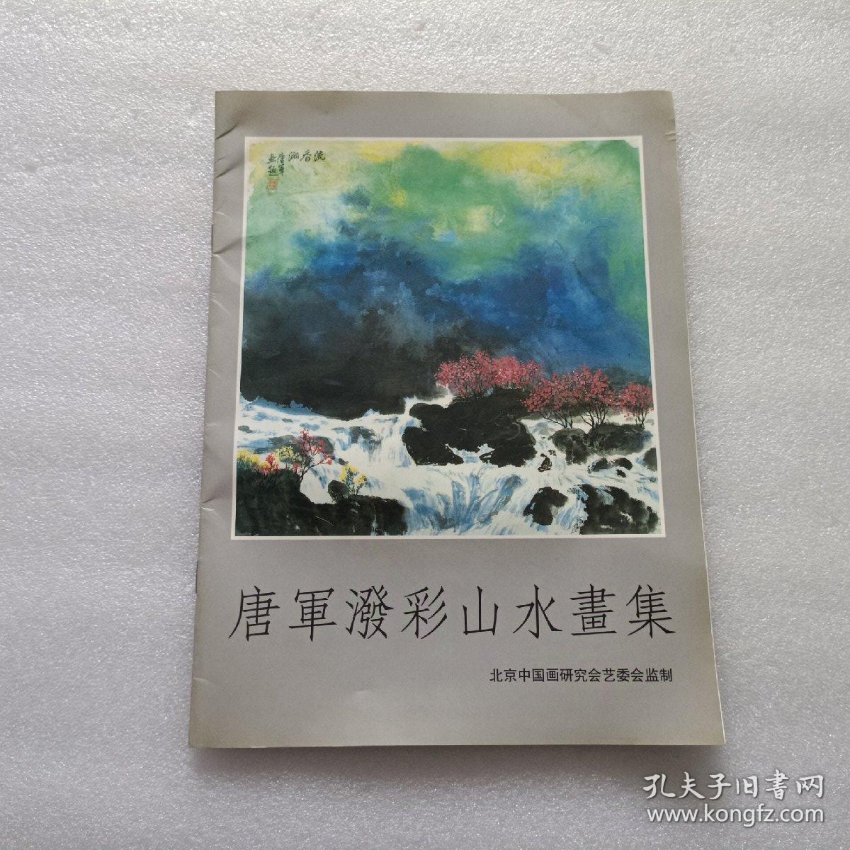 唐军泼彩山水画集