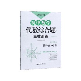 周计划：初中数学代数综合题高效训练（9年级+中考）