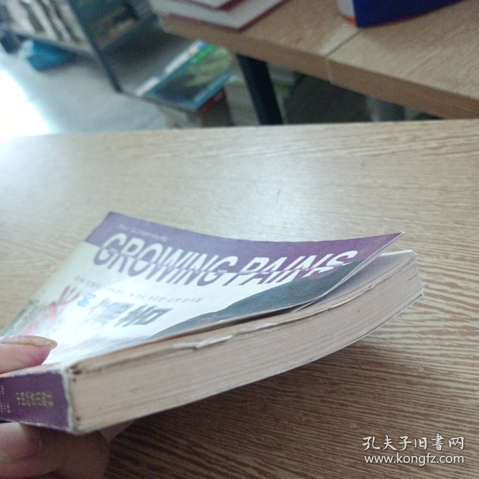 增长的痛苦:通过规范管理战胜企业增长中的危机——bb3