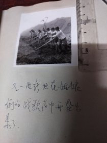 知青题材老照片之五