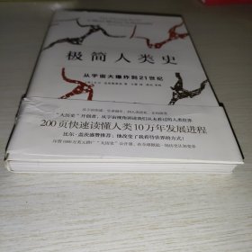 极简人类史：从宇宙大爆炸到21世纪