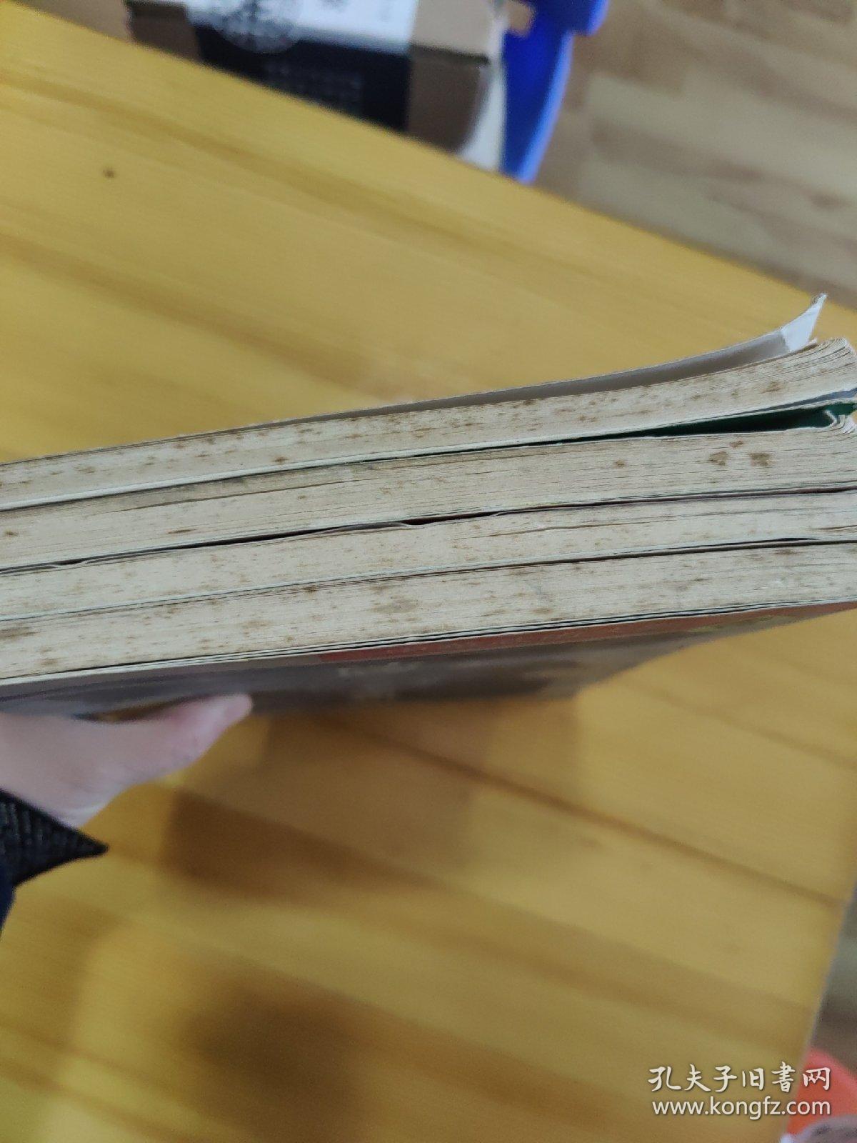 中华武术大观  6册（沙国政专辑，关永年专辑，李文彬尚芝蓉专辑，张业金专辑，张耀忠专辑，安天荣专辑）