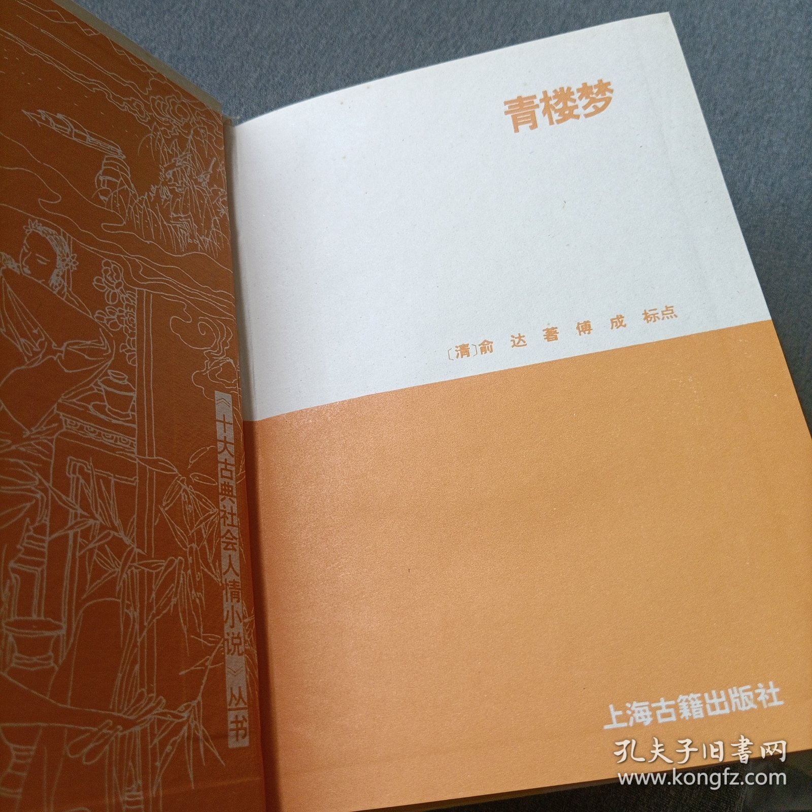 海公大红袍全传，海公小红袍全传，青楼梦——精装三册