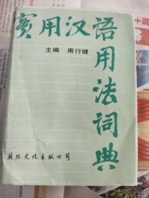 实用汉语用法词典