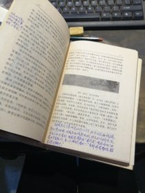 明清中国画大师研究丛书：沈周