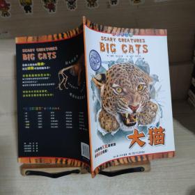 可怕的动物.大猫（英国Salariya图书公司两大支柱图书之一，畅销10年，单本销量过百万、全球22个版本，让孩子体验神奇的X光透视效果）