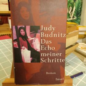 Judy Budnitz Das Echo meiner Schritte