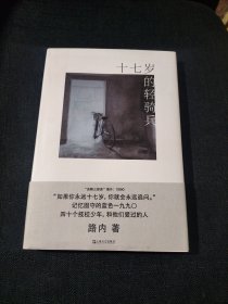 十七岁的轻骑兵（路内追随系列）