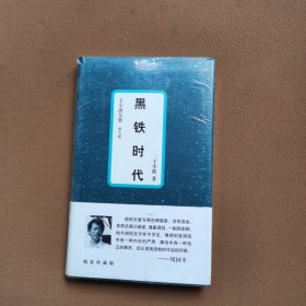 黑铁时代：王小波全集：8