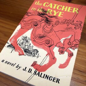 The Catcher in the Rye