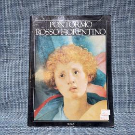 PONTORMO ROSSO FIORENTINO