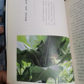 听剑楼笔记 花影