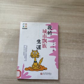 我的城市飘族生涯