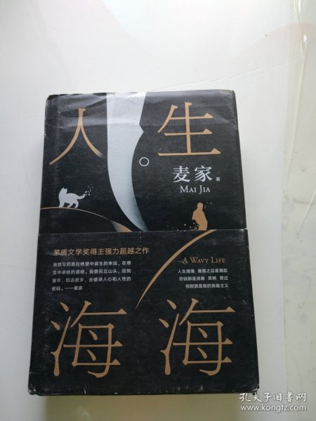 麦家：人生海海（茅盾文学奖得主麦家2019年强力之作）