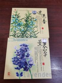 芳香疗法心灵音乐;薰衣草+迷迭香 CD