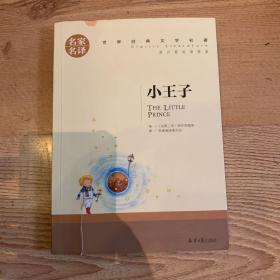 小王子 名家名译世界经典文学名著 原汁原味读原著