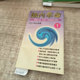 脑内革命 第一卷:重新认识、开发、利用你的大脑：重新认识、开发、利用你的大脑--第一卷的新描述