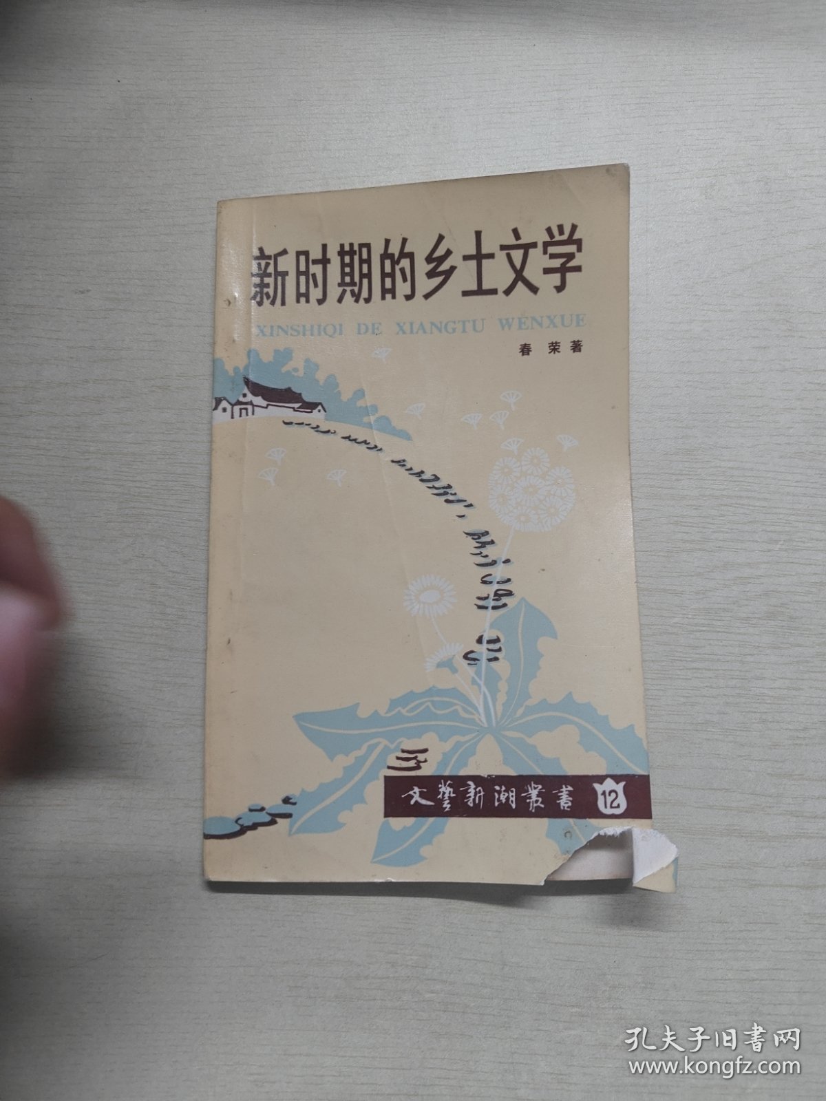 文艺新潮丛书:新时期的乡土文字